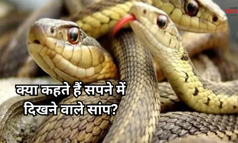 snakes seen in your dreams