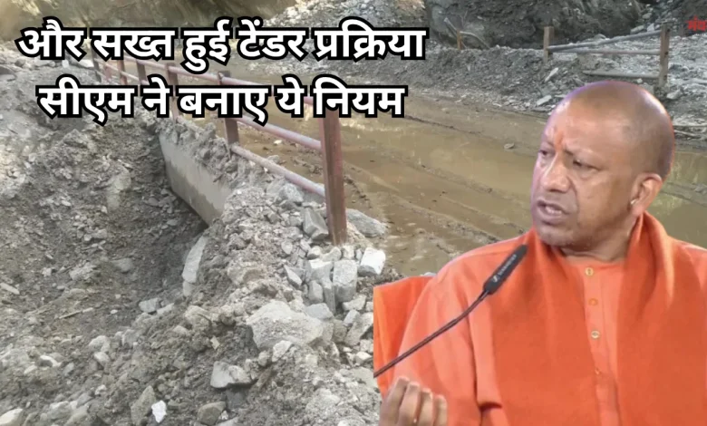Yogi