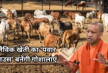 Photo of योगी सरकार नया मास्टर प्लान, 7500 गोशालाओं में तैनात होंगी कृषि सखियां, बदलेगी गांवों की सूरत