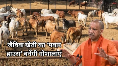 Photo of योगी सरकार नया मास्टर प्लान, 7500 गोशालाओं में तैनात होंगी कृषि सखियां, बदलेगी गांवों की सूरत