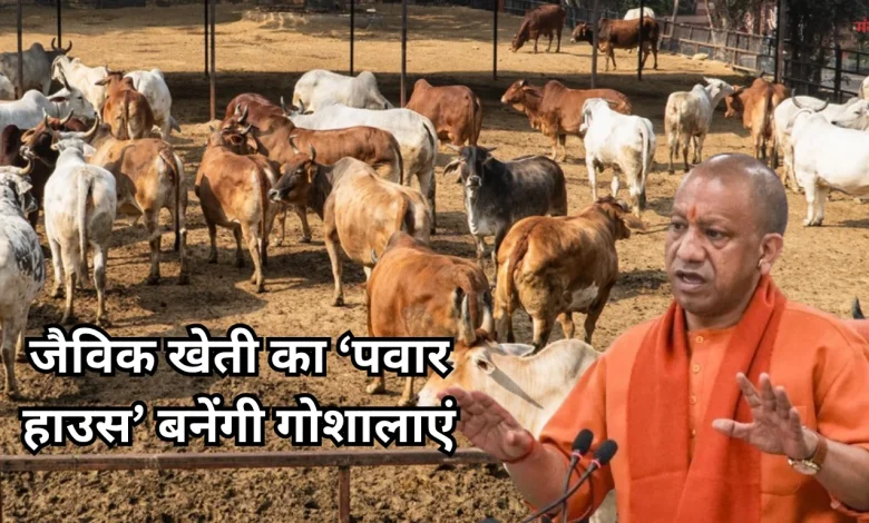 CM-Yogi-Adityanath