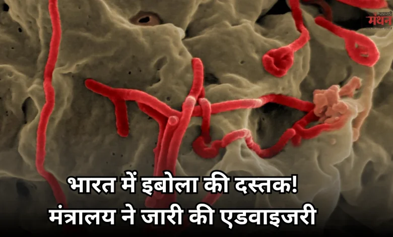 Ebola_Virus