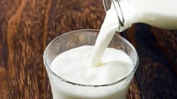MILK