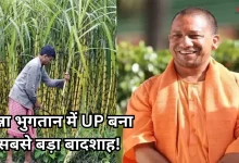 Photo of उत्पादन और चीनी रिकवरी में महाराष्ट्र- कर्नाटक हुआ पीछे, गन्ना भुगतान में भी पहले नबंर पर आया यूपी
