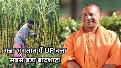 Photo of उत्पादन और चीनी रिकवरी में महाराष्ट्र- कर्नाटक हुआ पीछे, गन्ना भुगतान में भी पहले नबंर पर आया यूपी