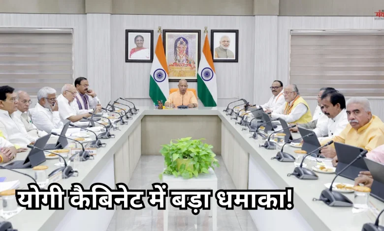 Yogi cabinet