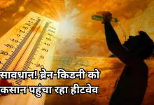 Photo of  हीटवेव से ब्रेन और किडनी पर हो रहा गंभीर असर, गर्मी के इन लक्षणों को न करें इग्नोर