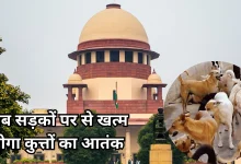 Photo of SC ने आदेश वापस लेने से किया इनकार, कहा- शेल्टर होम में ही रखे जाएंगे आवारा कुत्ते