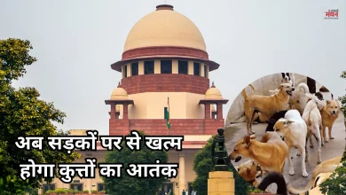 Photo of SC ने आदेश वापस लेने से किया इनकार, कहा- शेल्टर होम में ही रखे जाएंगे आवारा कुत्ते