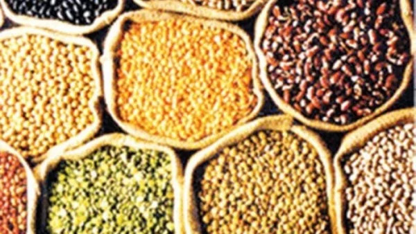 Chhattisgarh Farmer
