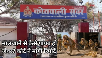 Photo of गजब! मालखाने से गायब हुए एक करोड़ के गहने, पुलिस बोली- बन्दर उठा ले गए पोटली