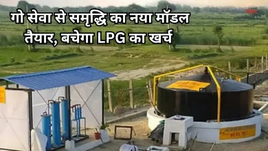 Photo of योगी सरकार का बड़ा प्लान: यूपी के गांवों की चमकेगी किस्मत, 1 लाख घरों में लगेंगे मिनी बायोगैस प्लांट