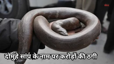 Photo of सहारनपुर पुलिस की बड़ी सफलता, दोमुंहे सांप से करोड़ों की ठगी करने वाला चढ़ा हत्थे