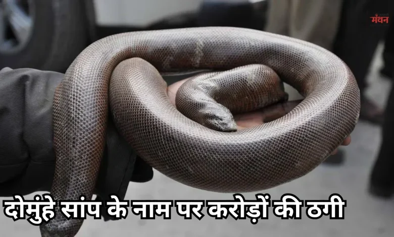 Snake Scam