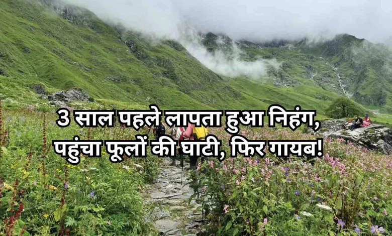 Valley of Flowers