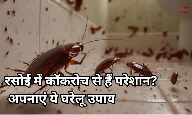 Cockroach