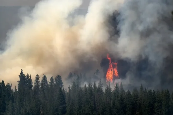 France wildfires