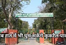 Photo of सुप्रीम कोर्ट ने दी लखनऊ कुकरैल नाइट सफारी परियोजना मंजूरी, लेकिन माननी होंगी ये शर्तें