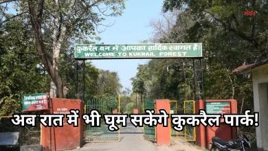 Photo of सुप्रीम कोर्ट ने दी लखनऊ कुकरैल नाइट सफारी परियोजना मंजूरी, लेकिन माननी होंगी ये शर्तें
