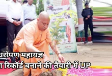 Photo of यूपी में 12 जुलाई को पौधरोपण महायज्ञ, एक दिन में लगाए जाएंगे इतने करोड़ पौधे