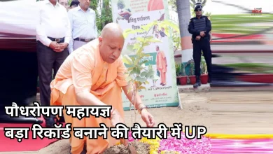 Photo of यूपी में 12 जुलाई को पौधरोपण महायज्ञ, एक दिन में लगाए जाएंगे इतने करोड़ पौधे