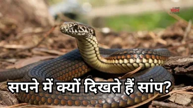 Photo of सपने में सांप दिखा? रंग बदले, समझो मतलब भी बदले! जानें हर रंग और हरकत का राज