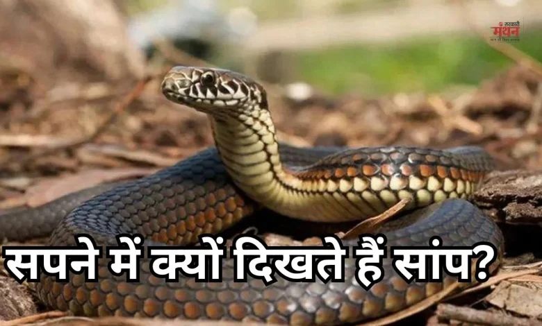 Snake Dreams