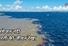 Photo of प्रकृति का बड़ा चमत्कार, एक ऐसी नदी जो पूरी दुनिया को देती है ऑक्सीजन