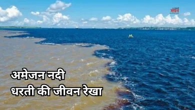 Photo of प्रकृति का बड़ा चमत्कार, एक ऐसी नदी जो पूरी दुनिया को देती है ऑक्सीजन