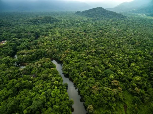 Amazon River