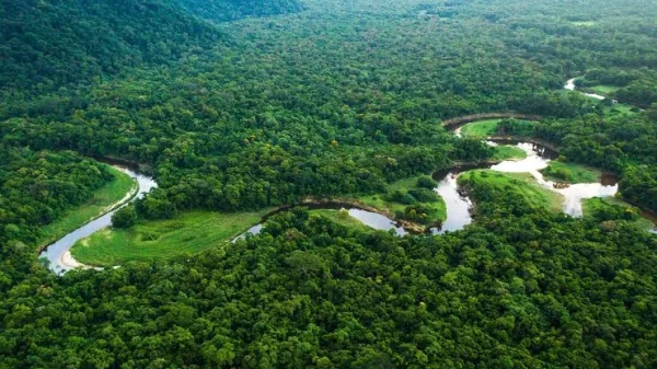 Amazon River