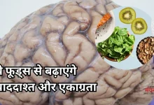 Photo of एक्सपर्ट्स की सलाह, दिमाग को हेल्दी और एक्टिव रखने के लिए डाइट में शामिल करें ये फूड्स