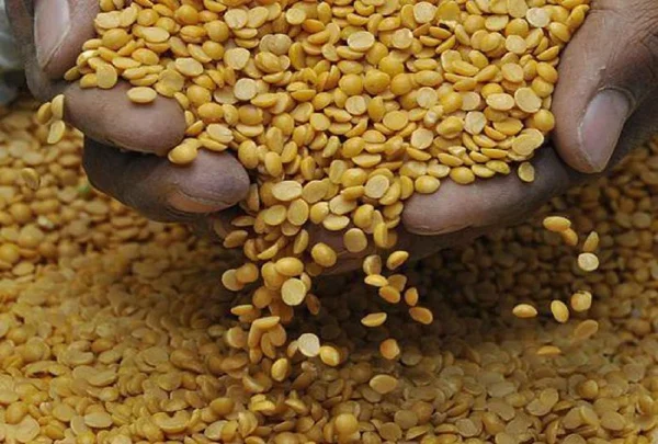 Dal Prices