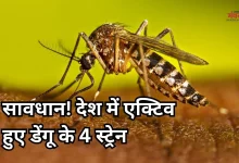 Photo of महामारी बनेगा डेंगू! एक साथ एक्टिव हुए चारों स्ट्रेन, ICMR की स्टडी में हुआ बड़ा खुलासा