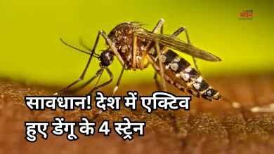 Photo of महामारी बनेगा डेंगू! एक साथ एक्टिव हुए चारों स्ट्रेन, ICMR की स्टडी में हुआ बड़ा खुलासा