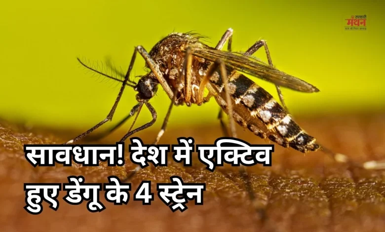 Dengue Virus