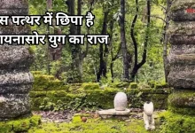 Photo of जिस पत्थर को सदियों से पूज रही बैगा जनजाति, उसका है डायनासोर युग से कनेक्शन, हैरत में वैज्ञानिक