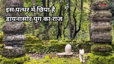 Photo of जिस पत्थर को सदियों से पूज रही बैगा जनजाति, उसका है डायनासोर युग से कनेक्शन, हैरत में वैज्ञानिक