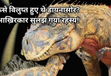Photo of वैज्ञानिकों की बड़ी खोज, 6.6 करोड़ साल पुराना रहस्य सुलझा, जब सालों तक धूल के कणों से ढकी रही धरती