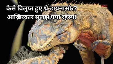 Photo of वैज्ञानिकों की बड़ी खोज, 6.6 करोड़ साल पुराना रहस्य सुलझा, जब सालों तक धूल के कणों से ढकी रही धरती