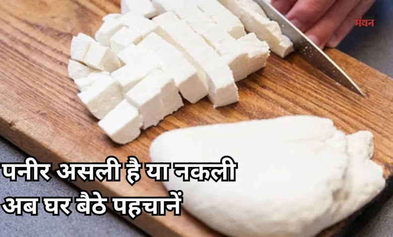 Fake Paneer