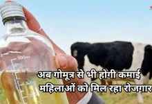 Photo of दूध ही नहीं अब गोमूत्र भी बेचिए, बुलंदशहर में 10 रुपये लीटर खरीदा जा रहा