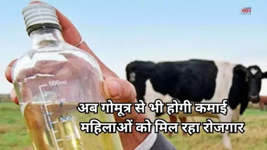 Photo of दूध ही नहीं अब गोमूत्र भी बेचिए, बुलंदशहर में 10 रुपये लीटर खरीदा जा रहा