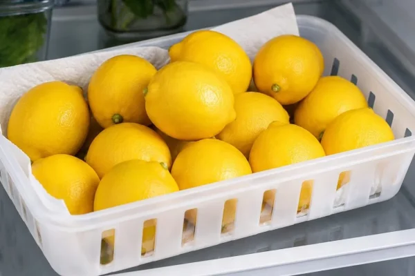 LemonStorageTips