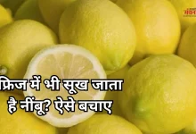 Photo of नींबू फ्रिज में जल्दी सूख जाता है? अपनाएं ये आसान और असरदार तरीके