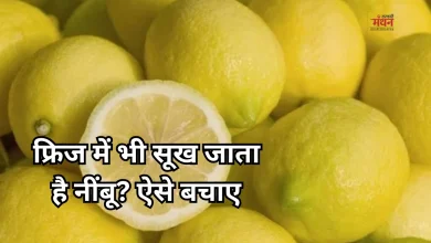 Photo of नींबू फ्रिज में जल्दी सूख जाता है? अपनाएं ये आसान और असरदार तरीके
