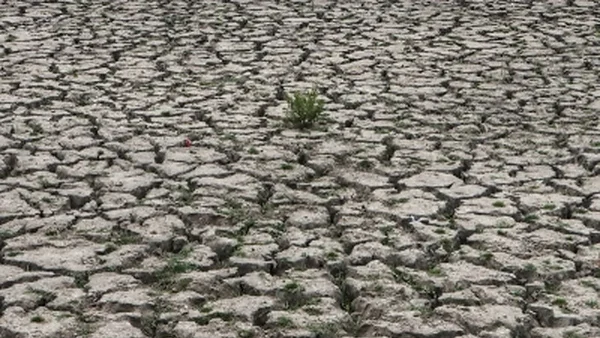 Monsoon 2026