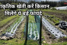 Photo of गोबर-गोमूत्र से सुधरेंगे खेत, सरकार भी देगी नकद इनाम, ऐसे उठा सकते हैं लाभ