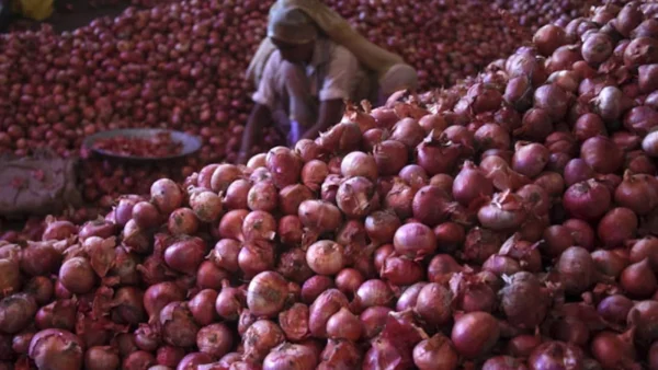 Onion Price Hike