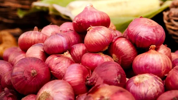 Onion Price Hike 